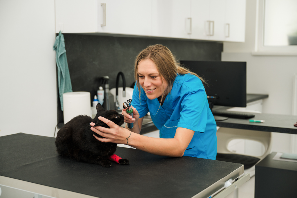 Vyšetrenie na klinike PB-VET