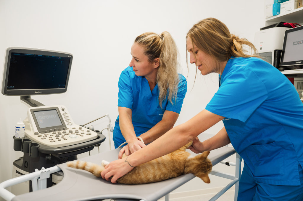 Veterinárna pohotovosť PB-VET